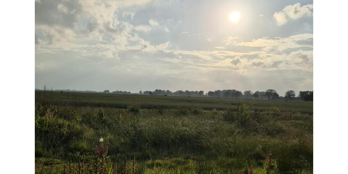 Doppelhaushälfte Tönning - 5 Zimmer, 115 m&sup2;, 1.500&euro; | Angebot:25750437