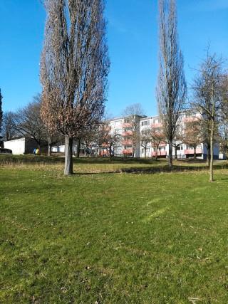 Hell und Freundlich, fast im Grünen und Stadtnah!!! 3 ZKB + Balkon - Frisch renoviert*** zimmer