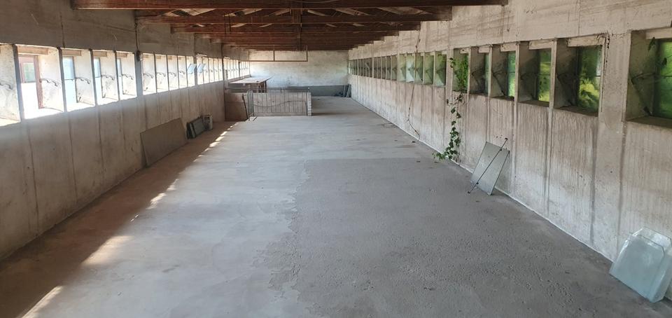 Gewerbeobjekt Schöneck - 1.750&euro; | Angebot:26623599