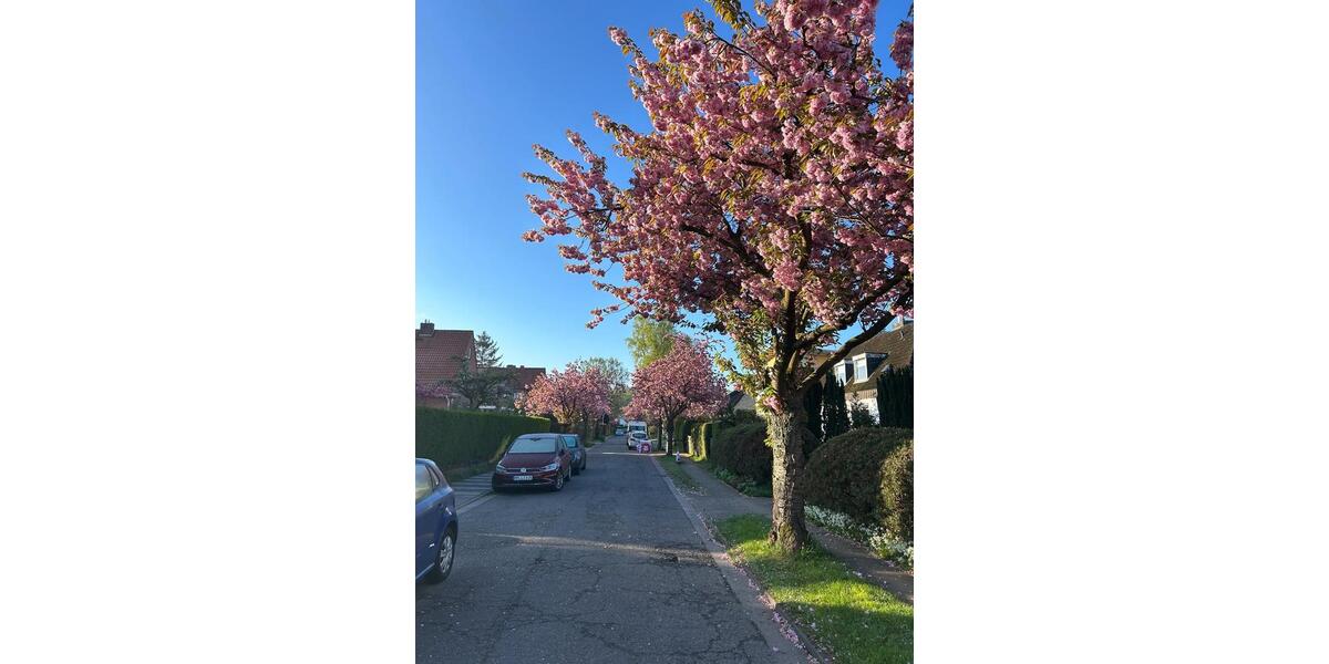 Dachgeschoßwohnung Hamburg Wandsbek - 2 Zimmer, 85 m&sup2;, 1.150&euro; | Angebot:26044317