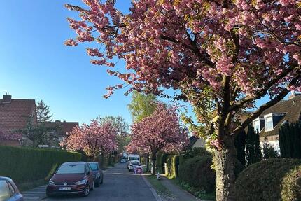 Wohnung Hamburg Wandsbek - 2 Zimmer, 85 m&sup2;, 1.150&euro; | Angebot:26044317