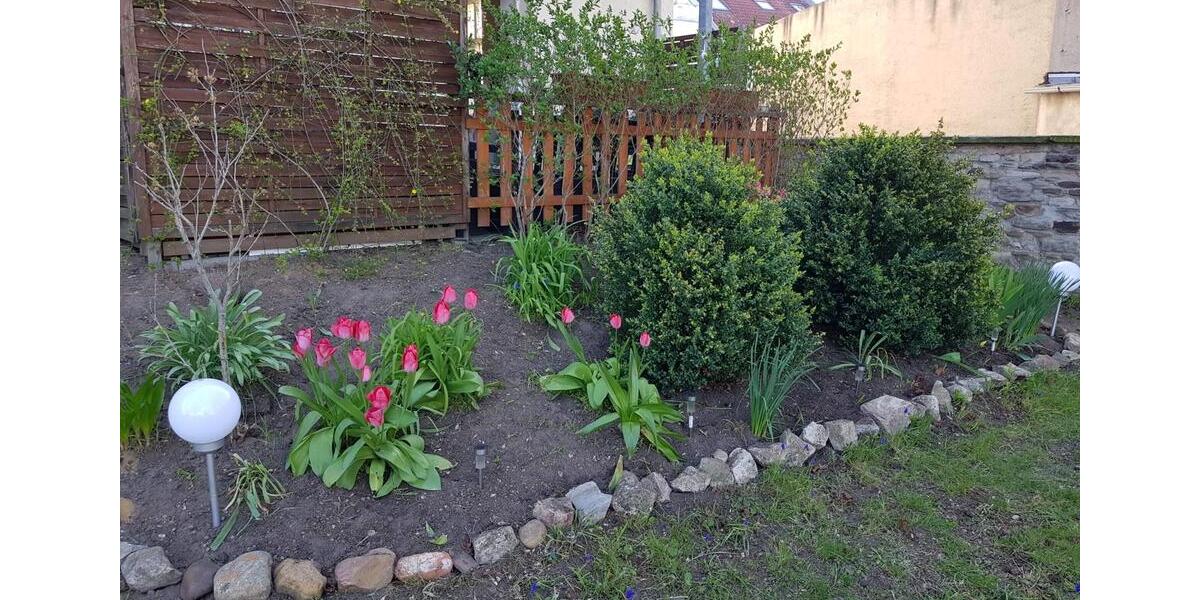 Erdgeschoßwohnung Magdeburg Beyendorf-Sohlen - 3 Zimmer, 86 m&sup2;, 750&euro; | Angebot:26676920