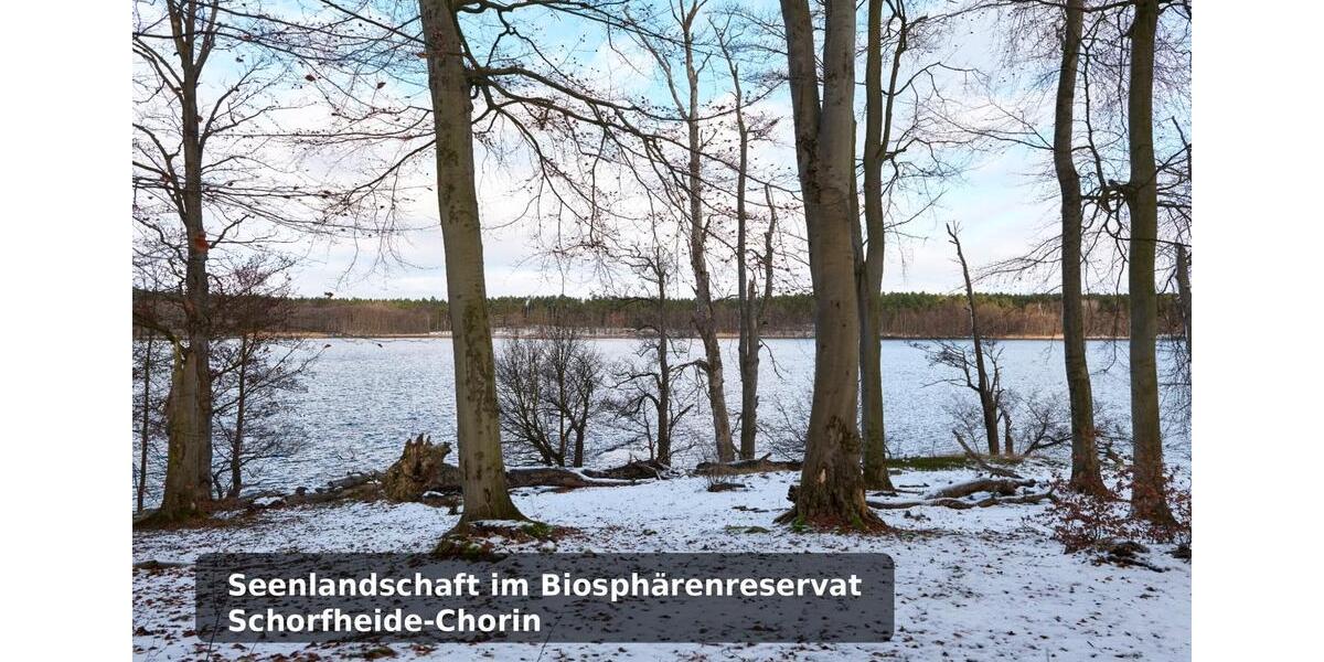 Dachgeschoßwohnung Joachimsthal - 2 Zimmer, 50 m&sup2;, 529&euro; | Angebot:25973990