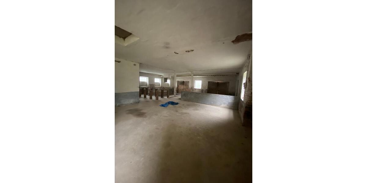 Gewerbeobjekt Sibbesse - 1.500&euro; | Angebot:26614260