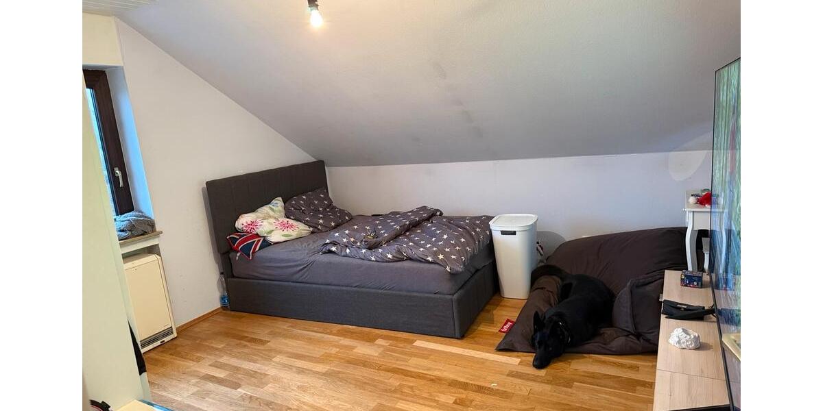 Ruhige 3-Zimmer-Wohnung in Hain – naturnah, Haustiere erlaubt 3 zimmer