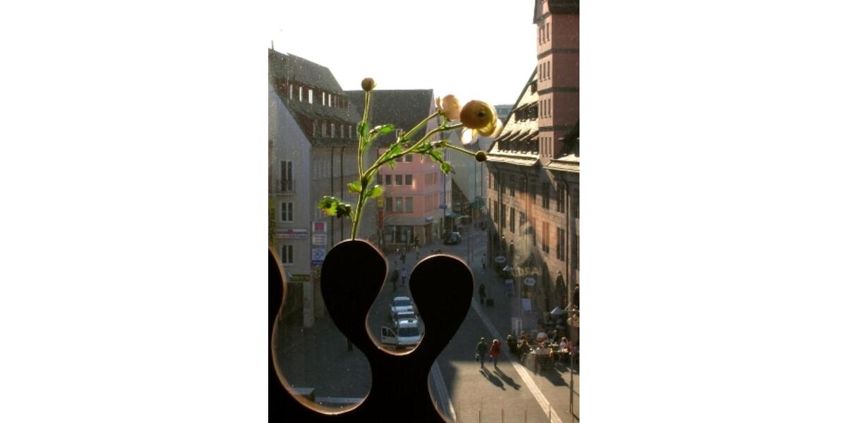 Lodge - die etwas andere Wohnidee. 680 € inkl NK, inkl Heizung 1 zimmer