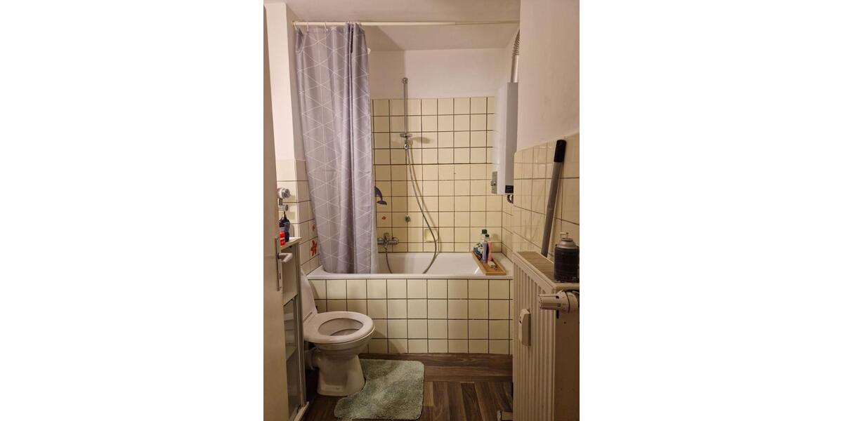 Wohnen auf Zeit Mainz Neustadt - 1 Zimmer, 18 m&sup2;, 600&euro; | Angebot:25795107