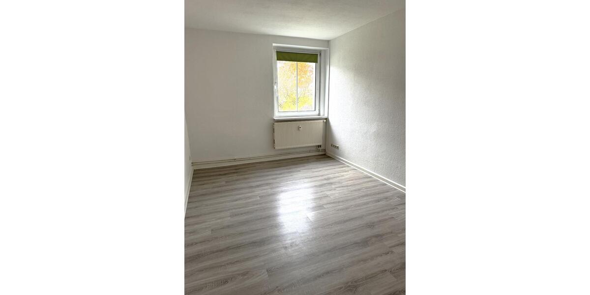 Etagenwohnung Barth - 2 Zimmer, 50 m&sup2;, 410&euro; | Angebot:24841243