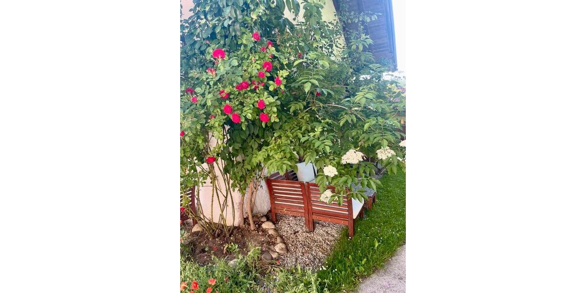 Wohnen auf Zeit Pittenhart - 3 Zimmer, 80 m&sup2;, 1.000&euro; | Angebot:24522189