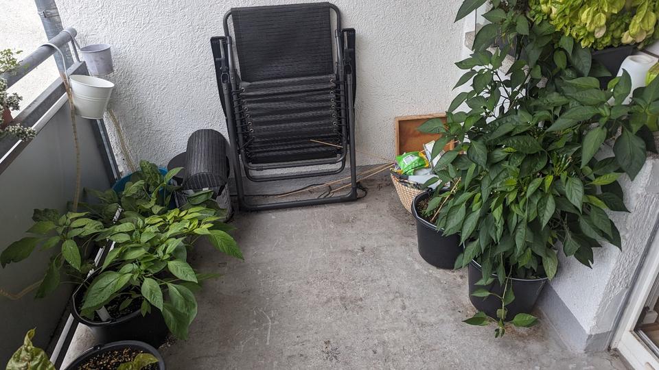 Wohnen auf Zeit Darmstadt Darmstadt-Ost - 1 Zimmer, 16 m&sup2;, 606&euro; | Angebot:26701550