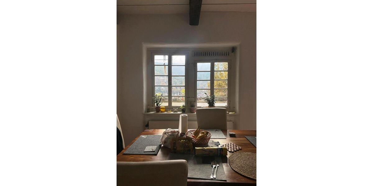 Wohnen auf Zeit Heidelberg Peterstal - 3 Zimmer, 120 m&sup2;, 825&euro; | Angebot:24849433