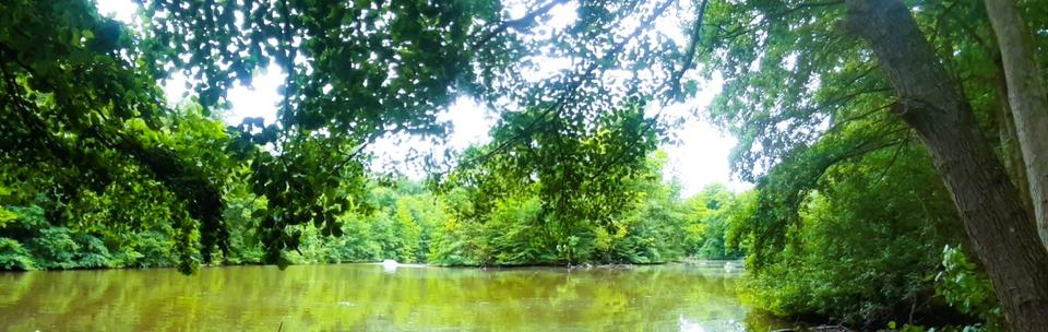 Doppelhaushälfte Goldbach - 6 Zimmer, 135 m&sup2;, 1.550&euro; | Angebot:23760573