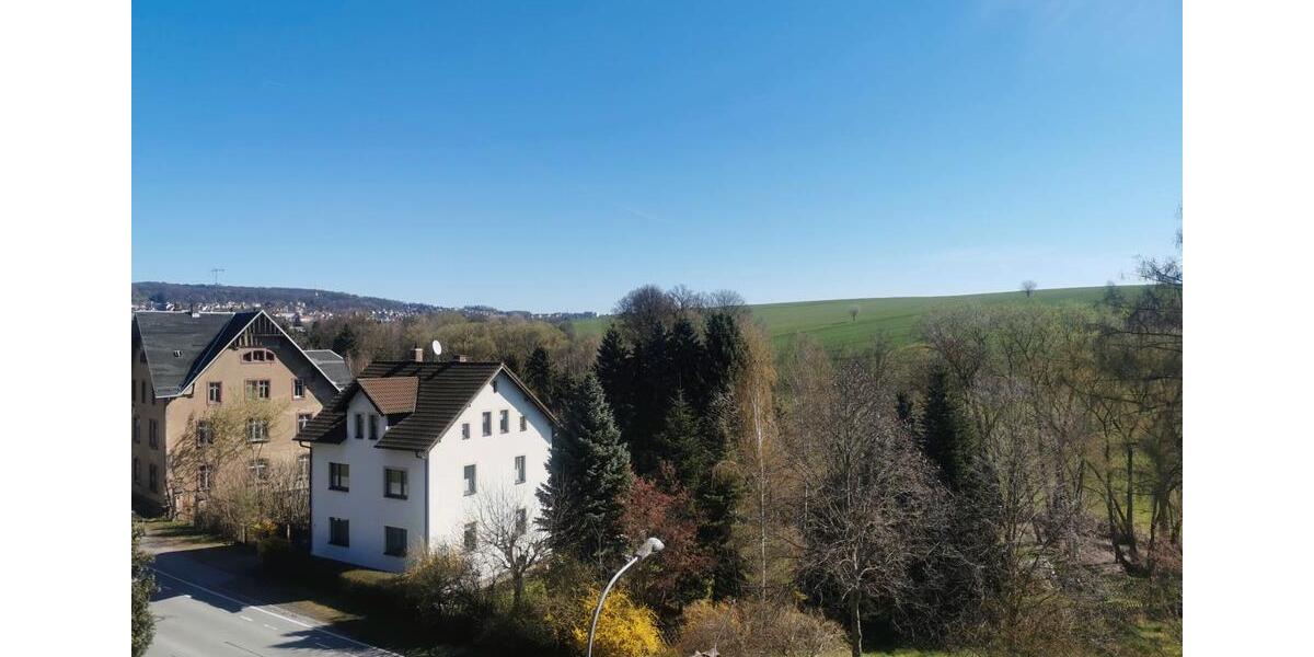 Dachgeschoßwohnung Oberlungwitz - 1 Zimmer, 48 m&sup2;, 280&euro; | Angebot:26286095