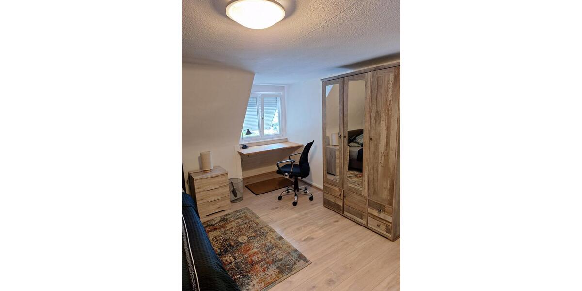 Wohnen auf Zeit Friesenheim - 1 Zimmer, 16 m&sup2;, 495&euro; | Angebot:25922757