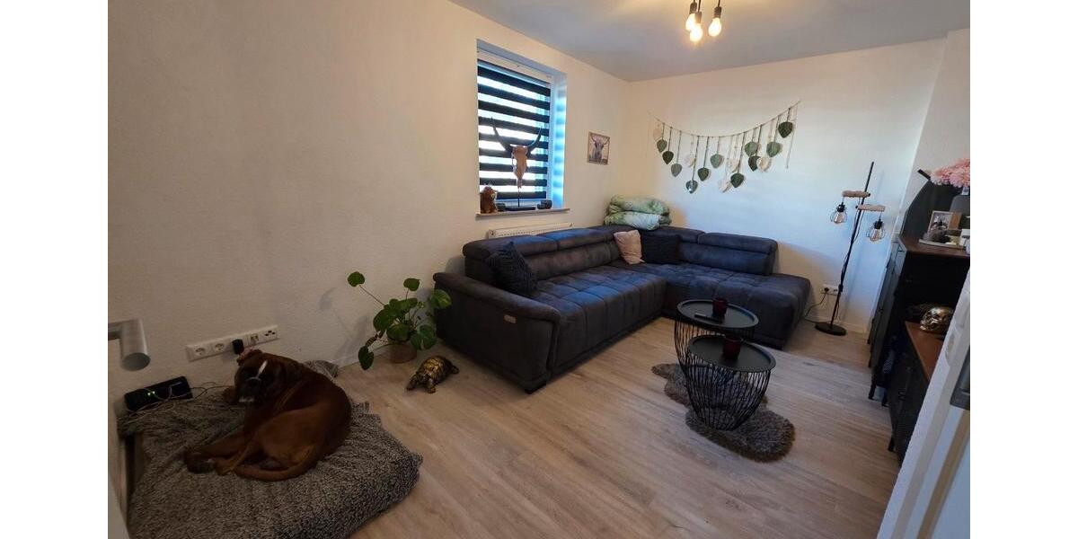 Doppelhaushälfte Baesweiler - 3 Zimmer, 65 m&sup2;, 995&euro; | Angebot:24899978