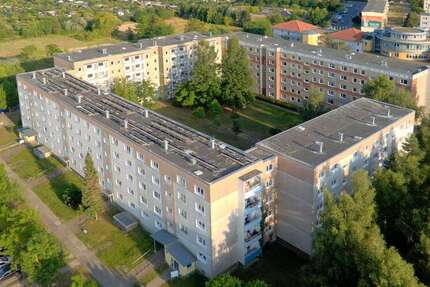 Wohnung Wolgast Wolgast Nord - 1 Zimmer, 26 m&sup2;, 247&euro; | Angebot:27278328