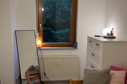 1-Zimmer-Wohnung zur Zwischenmiete in Laubenheim 1 zimmer