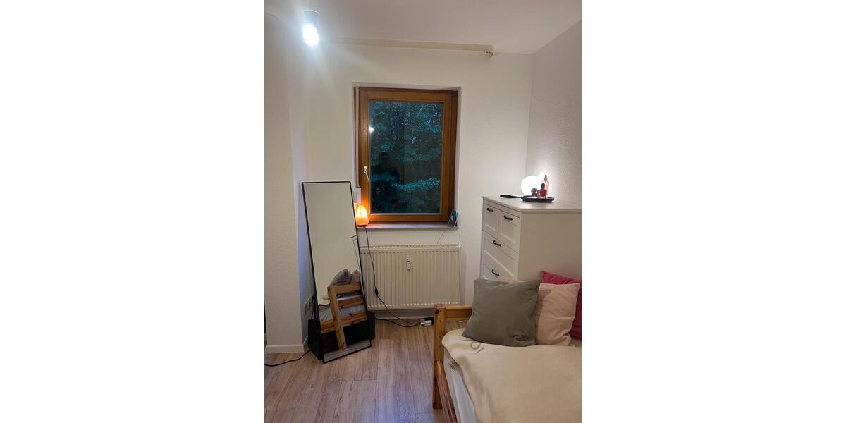 1-Zimmer-Wohnung zur Zwischenmiete in Laubenheim 1 zimmer