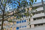 Etagenwohnung München Pasing-Obermenzing - 2 Zimmer, 63 m&sup2;, 1.600&euro; | Angebot:26698860