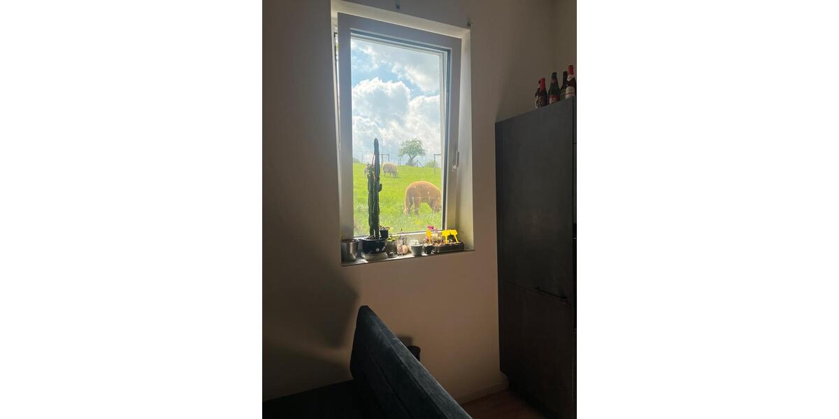 Wohnen auf Zeit Osnabrück Wüste - 1 Zimmer, 18 m&sup2;, 480&euro; | Angebot:26544476