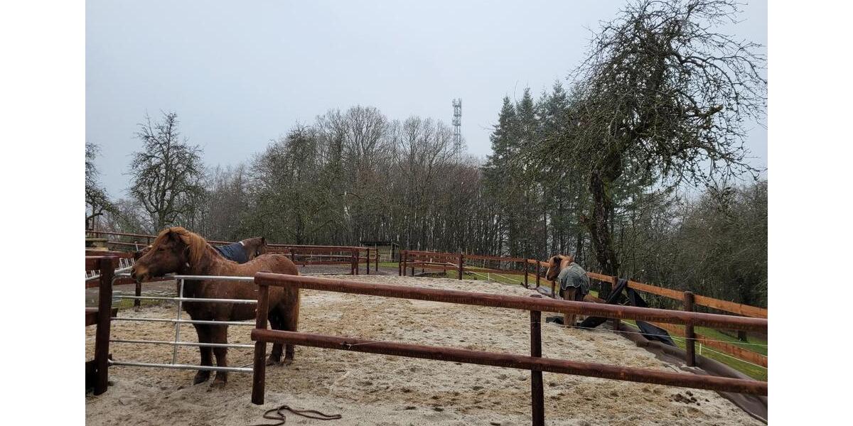 Etagenwohnung Pelm - 1 Zimmer, 16 m&sup2;, 450&euro; | Angebot:25323598