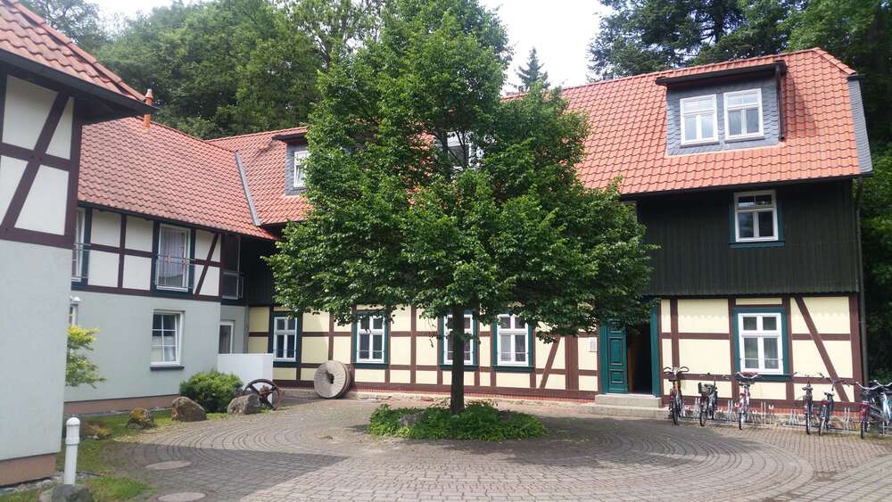 Wohnung zum Mieten in Wernigerode 230 € 23.8 m² 1 zimmer