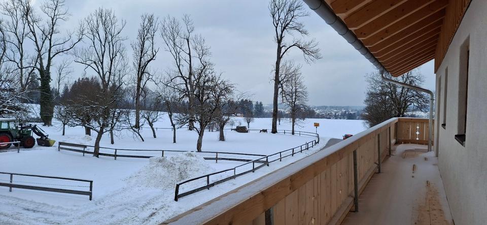 4-Zimmer-Wohnung 4 zimmer