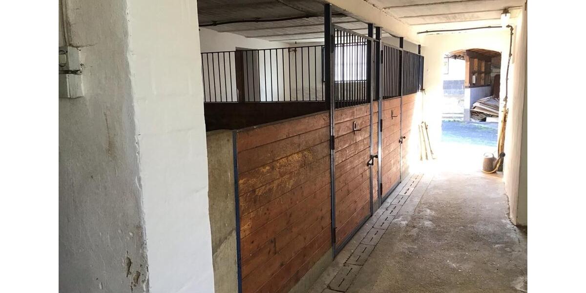 Mehrfamilienhaus, Wohnhaus Gilserberg - 8 Zimmer, 225 m&sup2;, 1.500&euro; | Angebot:24099540