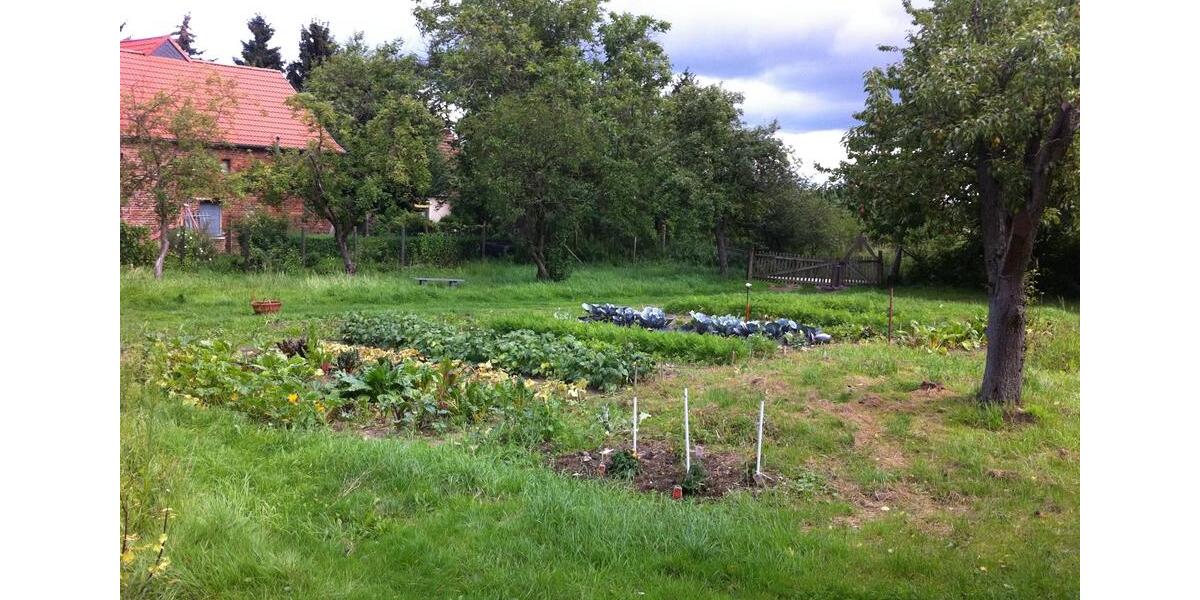 Wohnen auf Zeit Wiesenburg/Mark Mark - 1 Zimmer, 35 m&sup2;, 490&euro; | Angebot:24851381