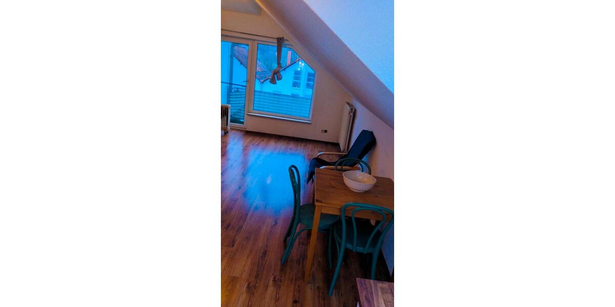 Dachgeschoßwohnung Bad Dürkheim - 1 Zimmer, 32 m&sup2;, 480&euro; | Angebot:24744196