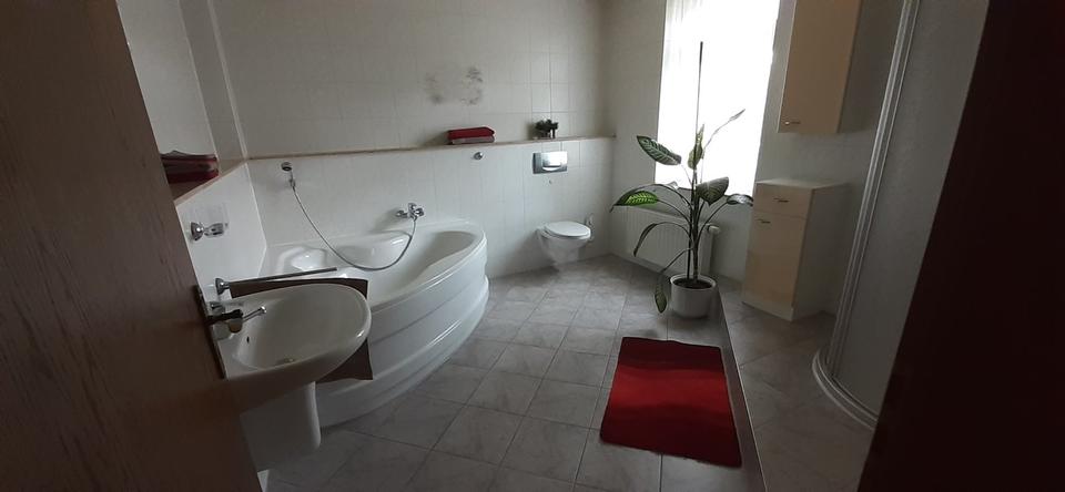 Wohnen auf Zeit Trebsen/Mulde Mulde - 3 Zimmer, 68 m&sup2;, 100&euro; | Angebot:24831759