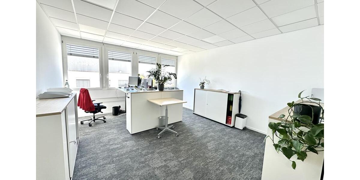 Gewerbeobjekt Rielasingen-Worblingen Worblingen - 4.800&euro; | Angebot:26433851