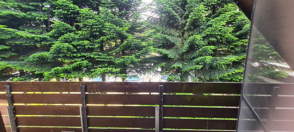 Dachgeschoßwohnung Freudenberg - 3 Zimmer, 75 m&sup2;, 700&euro; | Angebot:25105123