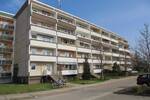 Etagenwohnung Coswig (Anhalt) Coswig - 2 Zimmer, 54 m&sup2;, 356&euro; | Angebot:26686570