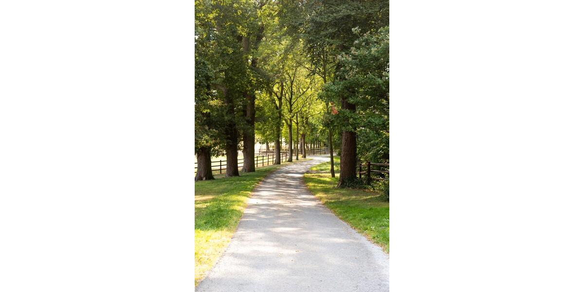 Wohnen auf Zeit Bad Bentheim - 3 Zimmer, 80 m&sup2;, 100&euro; | Angebot:15196489