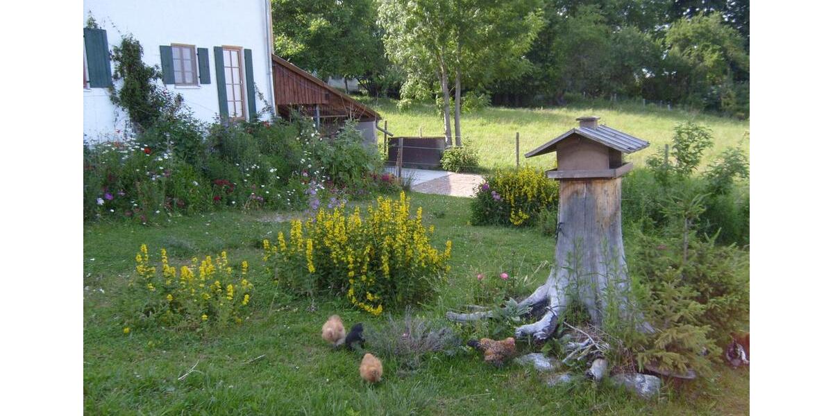 Etagenwohnung Rückholz - 1 Zimmer, 34 m&sup2;, 290&euro; | Angebot:26023268