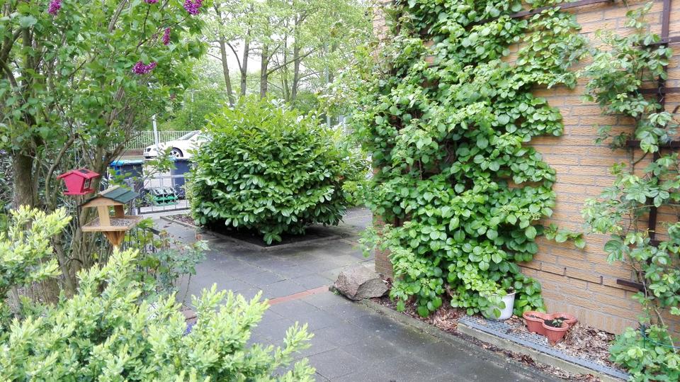 1 Zimmer in einer ruhigen Studentinnen-Wohnung. Warmmiete =270€ 1 zimmer