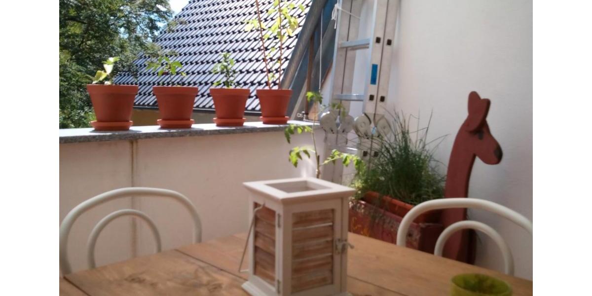 Dachgeschoßwohnung Schwarzenfeld - 3.5 Zimmer, 100 m&sup2;, 950&euro; | Angebot:26485687