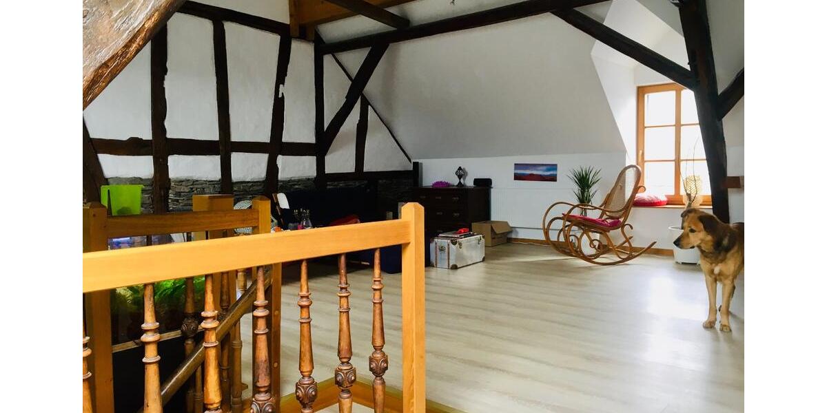 Geräumiges Dachgeschoss in tierfreundlichem Haus mit Garten 1 zimmer