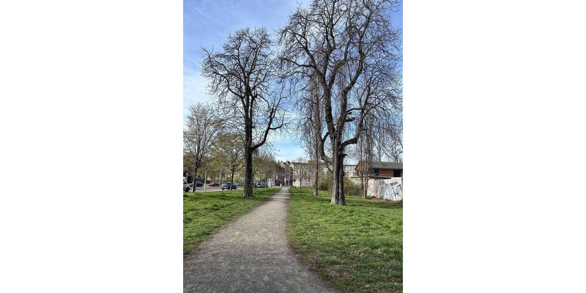 Etagenwohnung Leipzig Altlindenau - 2 Zimmer, 53 m&sup2;, 800&euro; | Angebot:26080729