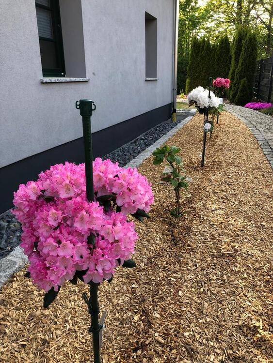 schicke Erdgeschoßwohnung mit Gewölbe in Brauna
