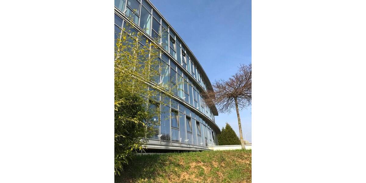 Gewerbeobjekt Oberursel - 5 Zimmer, 257 m&sup2;, 2.549&euro; | Angebot:25776590