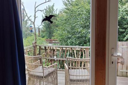 Wohnen auf Zeit Emkendorf - 1 Zimmer, 20 m&sup2;, 350&euro; | Angebot:22686016