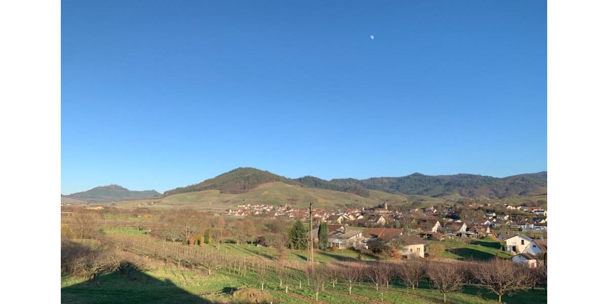 Helle ruhige 2 Zimmer Dachgeschoss-Wohnung mit großem Balkon 2 zimmer