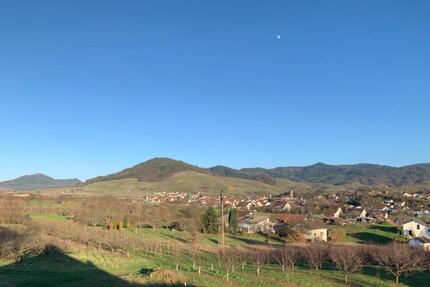 Wohnung Bühl - 2 Zimmer, 74 m&sup2;, 660&euro; | Angebot:24508295