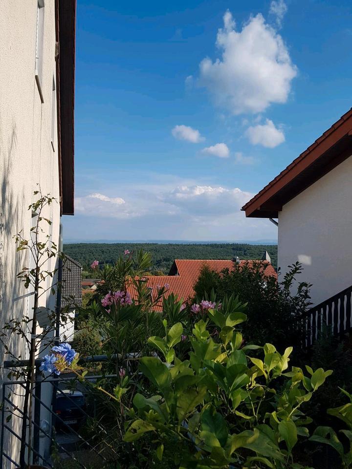 Helle 4 ZKB Wohnung in Schöneberg mit Garten zu vermieten zimmer