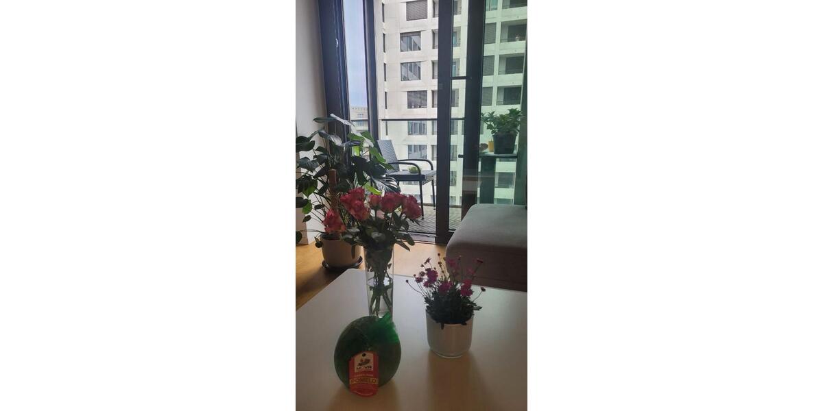 Etagenwohnung Berlin Mitte - 2 Zimmer, 54 m&sup2;, 1.600&euro; | Angebot:26624995