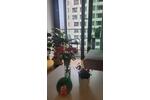 Etagenwohnung Berlin Mitte - 2 Zimmer, 54 m&sup2;, 1.600&euro; | Angebot:26624995