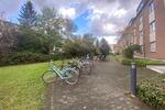 Erdgeschoßwohnung Köln Lindenthal - 1 Zimmer, 43 m&sup2;, 900&euro; | Angebot:26640749
