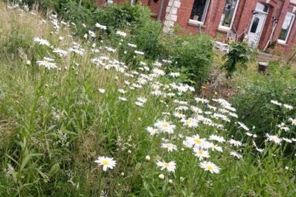 WG-Zimmer auf Gemeinschaftshof zwischen Hamburg und Lüneburg 1 zimmer